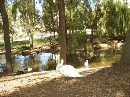 Arroyo,-A-parque.jpg