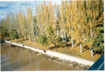 Marina-6-BDuero.jpg